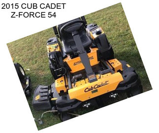 2015 CUB CADET Z-FORCE 54