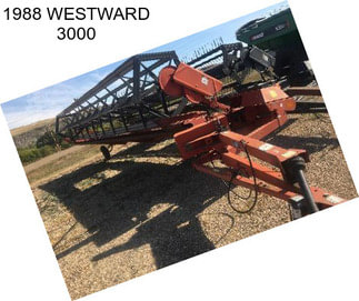 1988 WESTWARD 3000