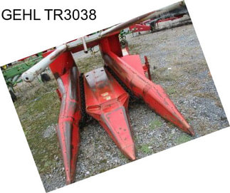 GEHL TR3038