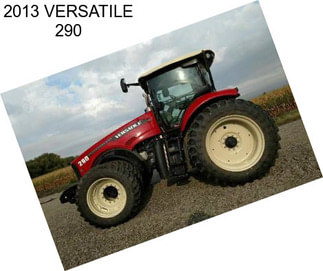 2013 VERSATILE 290