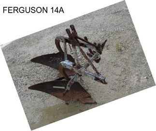 FERGUSON 14A