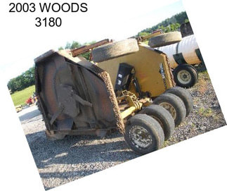 2003 WOODS 3180