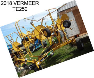 2018 VERMEER TE250