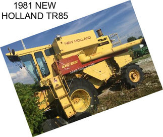 1981 NEW HOLLAND TR85