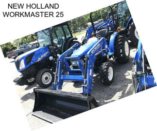 NEW HOLLAND WORKMASTER 25