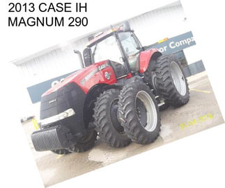 2013 CASE IH MAGNUM 290