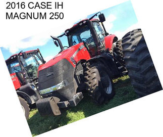 2016 CASE IH MAGNUM 250