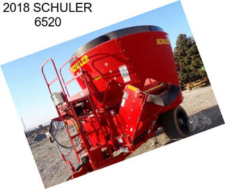 2018 SCHULER 6520