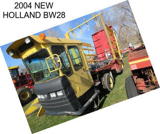 2004 NEW HOLLAND BW28