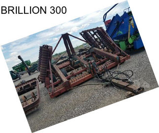 BRILLION 300