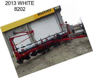 2013 WHITE 8202