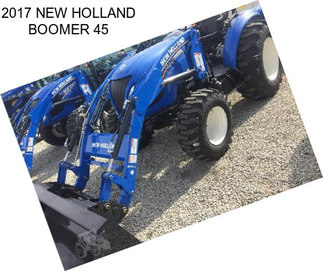 2017 NEW HOLLAND BOOMER 45