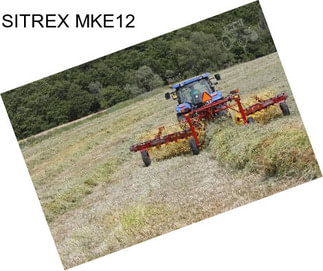 SITREX MKE12