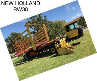 NEW HOLLAND BW38