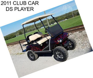 2011 CLUB CAR DS PLAYER