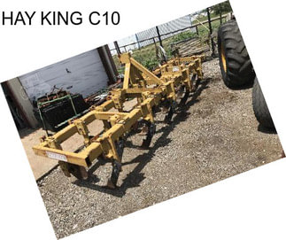 HAY KING C10