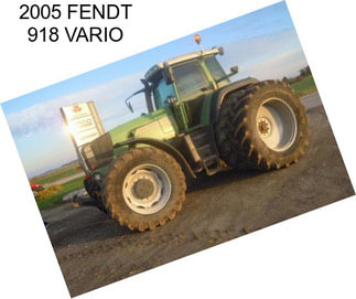 2005 FENDT 918 VARIO