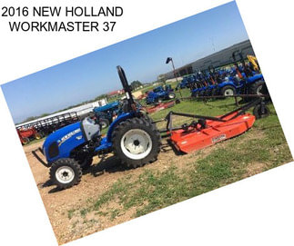 2016 NEW HOLLAND WORKMASTER 37