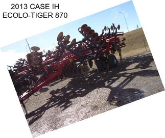 2013 CASE IH ECOLO-TIGER 870