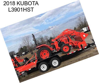 2018 KUBOTA L3901HST