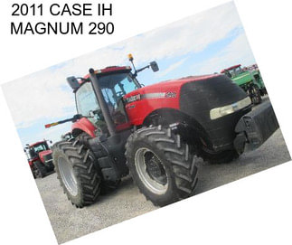 2011 CASE IH MAGNUM 290