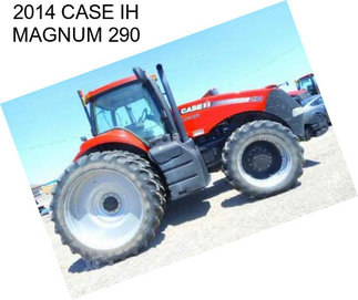 2014 CASE IH MAGNUM 290