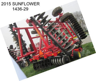 2015 SUNFLOWER 1436-29