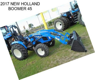 2017 NEW HOLLAND BOOMER 45