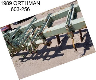 1989 ORTHMAN 603-256