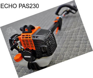 ECHO PAS230