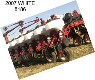 2007 WHITE 8186