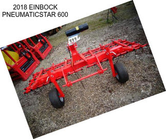 2018 EINBOCK PNEUMATICSTAR 600