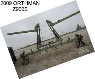 2009 ORTHMAN Z900S