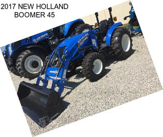 2017 NEW HOLLAND BOOMER 45