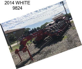 2014 WHITE 9824