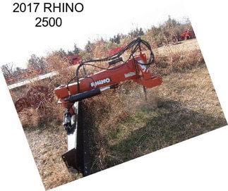 2017 RHINO 2500