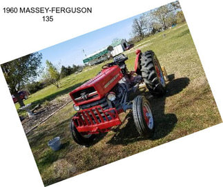 1960 MASSEY-FERGUSON 135