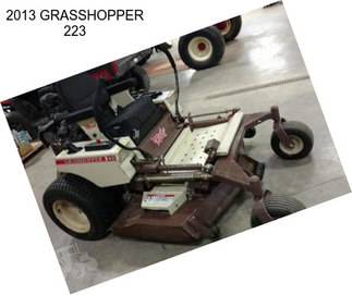 2013 GRASSHOPPER 223