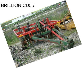 BRILLION CD55