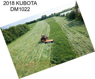 2018 KUBOTA DM1022