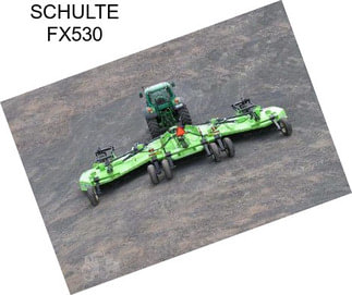 SCHULTE FX530