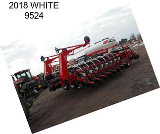 2018 WHITE 9524