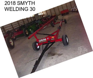 2018 SMYTH WELDING 30