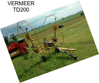 VERMEER TD200