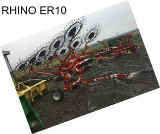 RHINO ER10