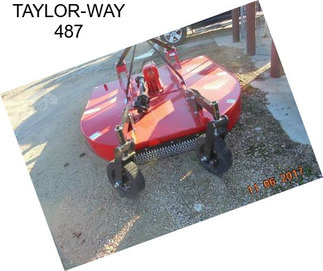 TAYLOR-WAY 487