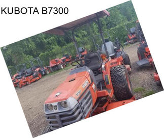 KUBOTA B7300