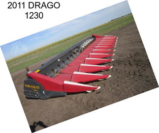 2011 DRAGO 1230