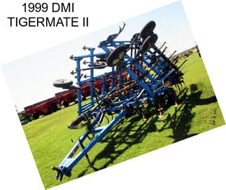 1999 DMI TIGERMATE II