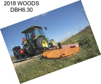 2018 WOODS DBH6.30